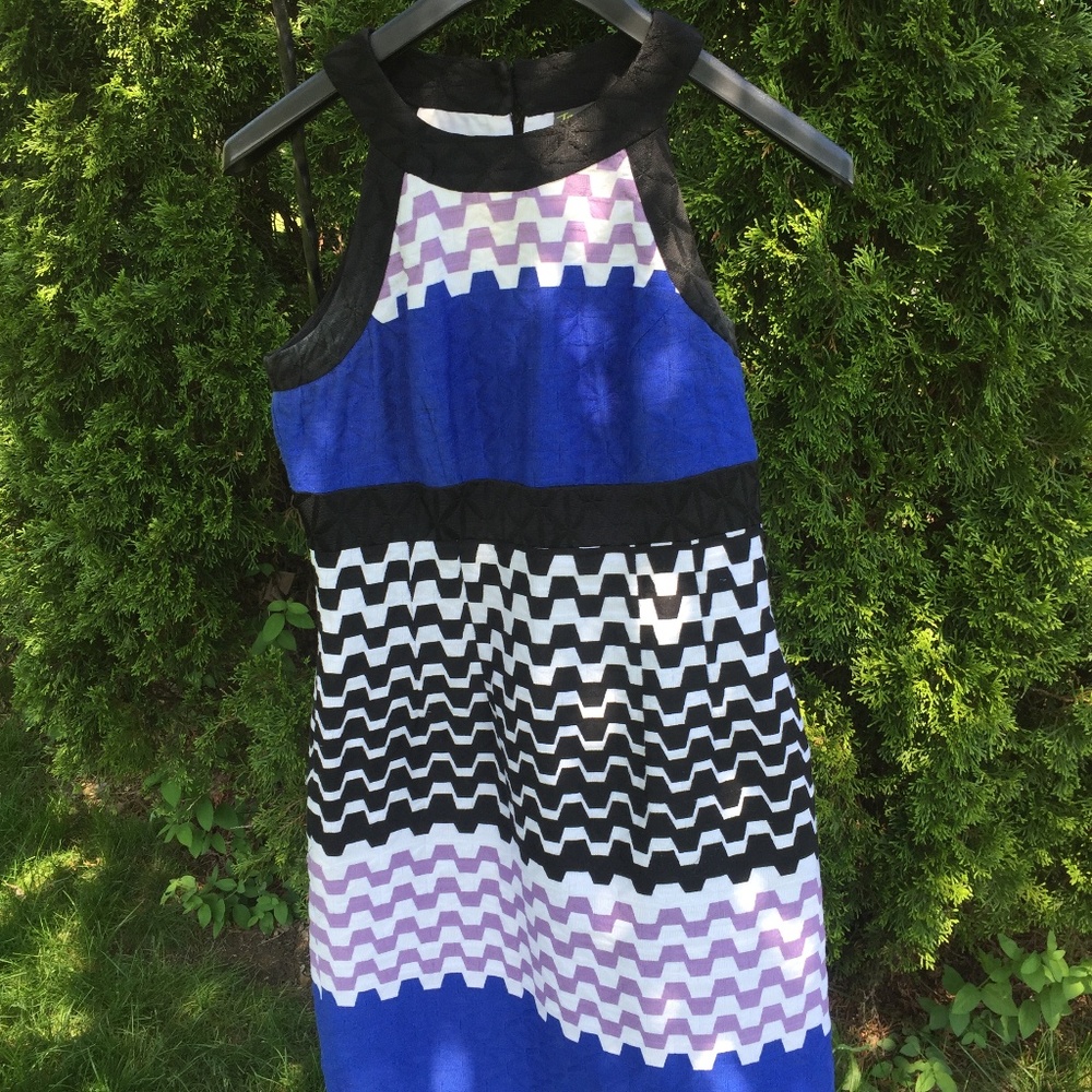 EUC TAYLOR DRESS